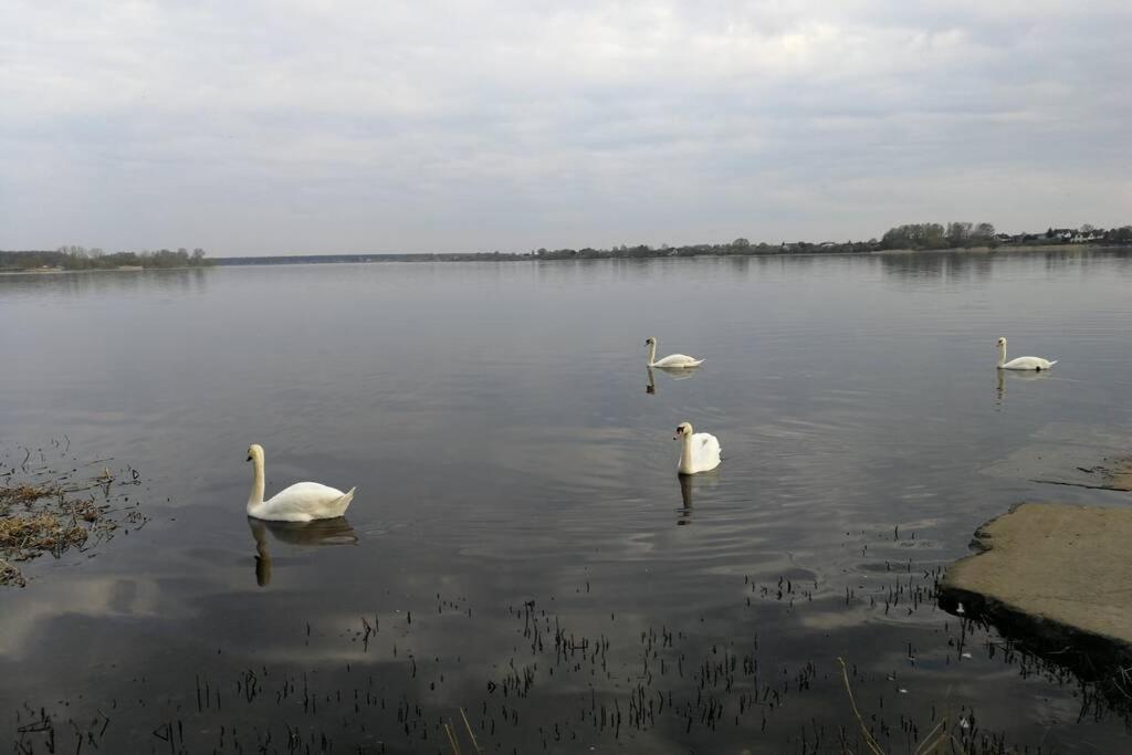Latgales 266 6 Can Stay Self Check In Out River 200M Riga Exterior foto