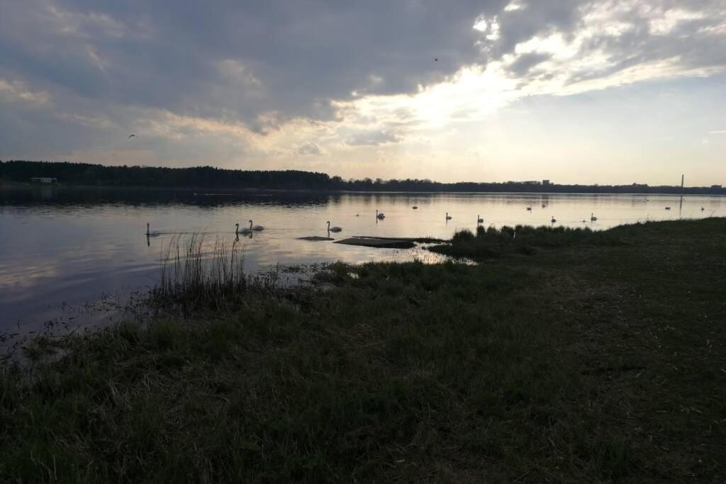 Latgales 266 6 Can Stay Self Check In Out River 200M Riga Exterior foto